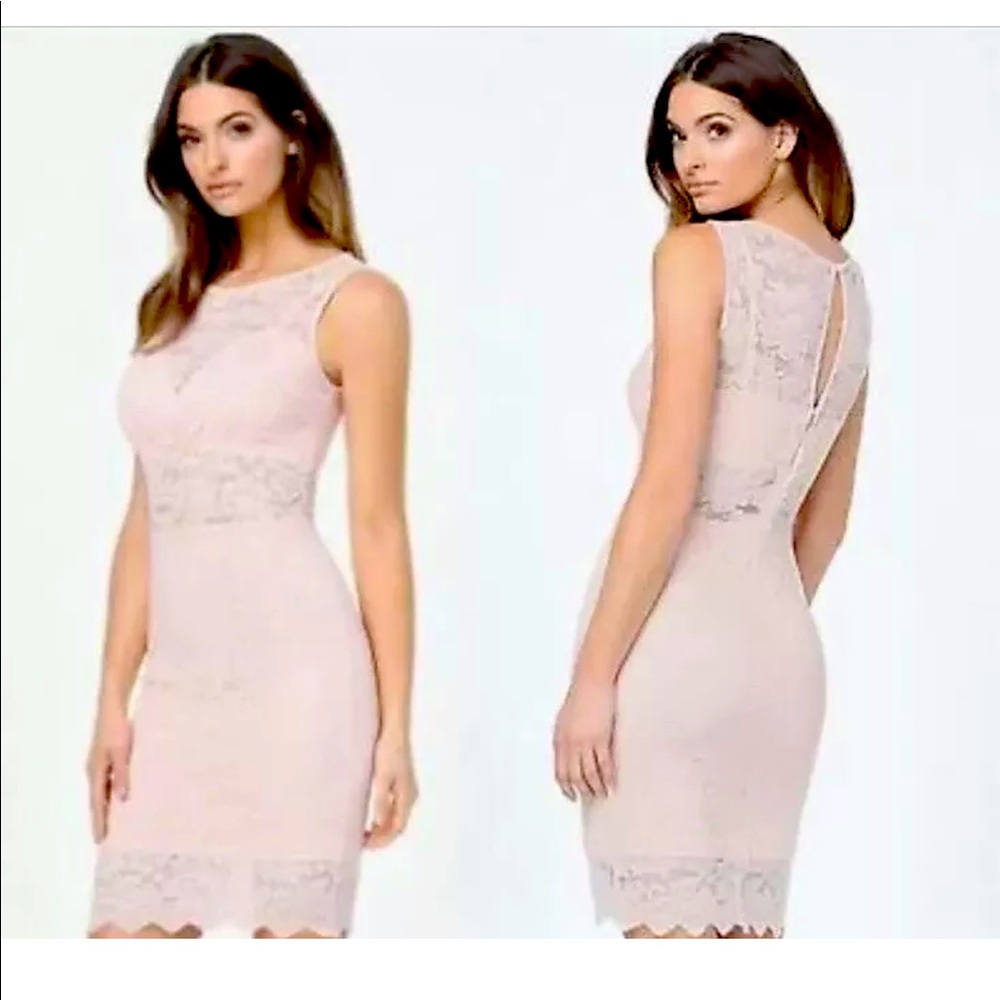 Bebe lace midi bralette dress S - Brand new w tags